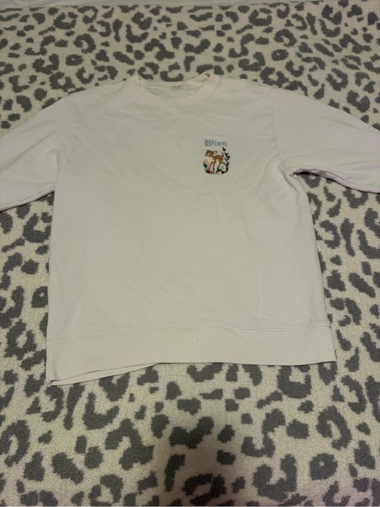 Brandy Melville Sweaters - Brandy Melville Light Pink Wien Crewneck Sweatshirt